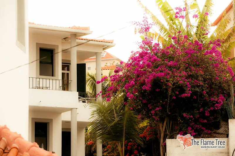 The Flame Tree Madeira (Adults Only) Hotel Funchal  Funchal (Madeira)