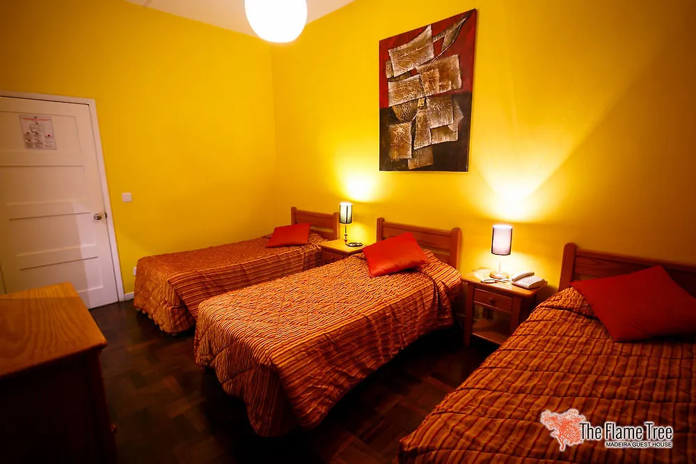 Casa de hóspedes The Flame Tree Madeira (Adults Only) Hotel Funchal
