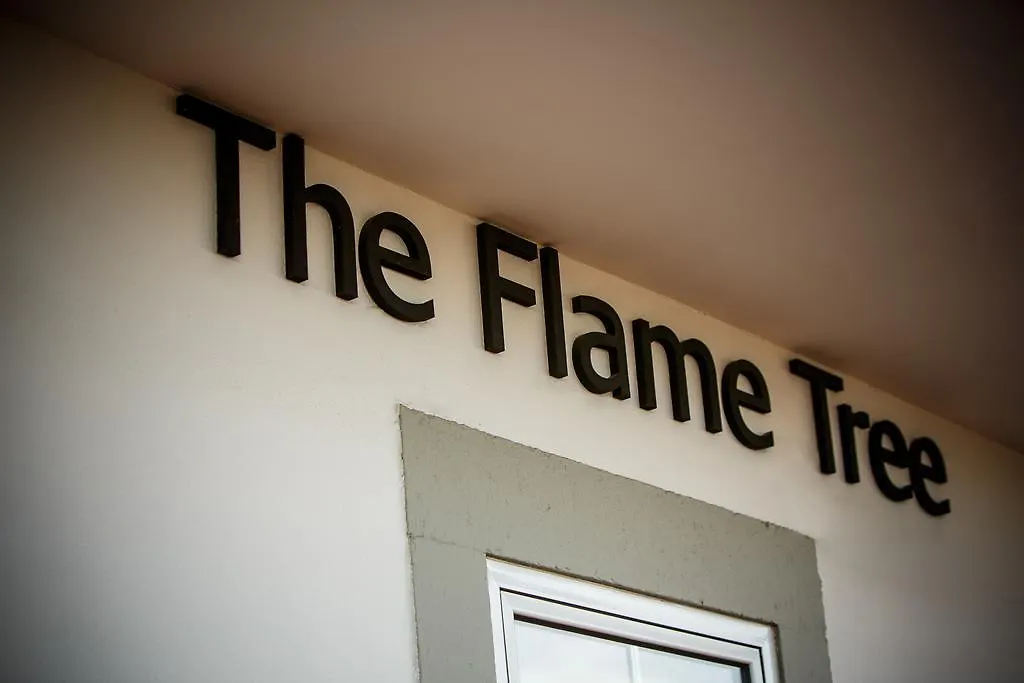 Guest house The Flame Tree Madeira (Adults Only) Hotel Funchal